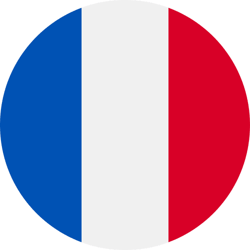 Exámenes resueltos de EvAU/EBAU/Selectividad de Madrid de Francés